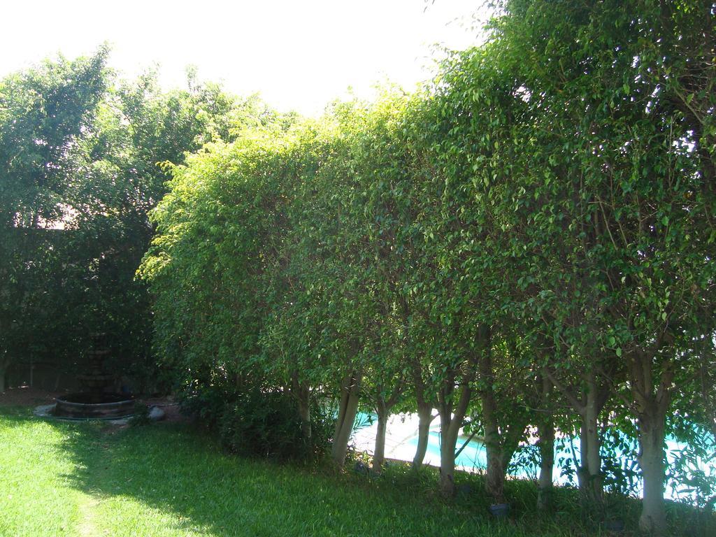 Hotel Teques Inn Tequesquitengo Exterior foto
